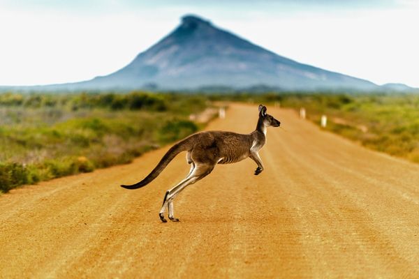 FernwehTravelGifts.com Australia Gift Guide