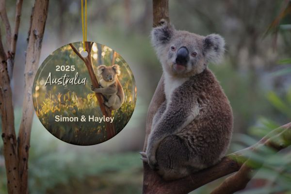 Fernweh.TravelGifts.Australia.Koala
